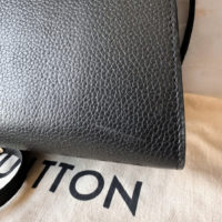 Сумка Louis Vuitton Twist Handle MM