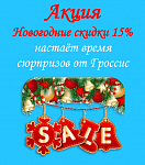 Акция Новогодние скидки 15%