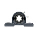 Подшипниковый узел 480204 (UCP 204) CRAFT превью 5