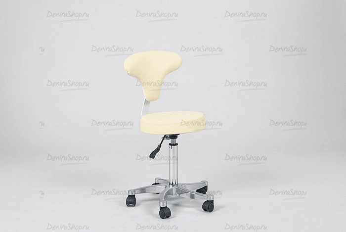 Стул мастера SD-6057E  купить картинки