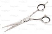    katachi daisy 6.0" ( 2)   
