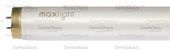    maxlight 180 w-r xl high intensive co    Denirashop.ru