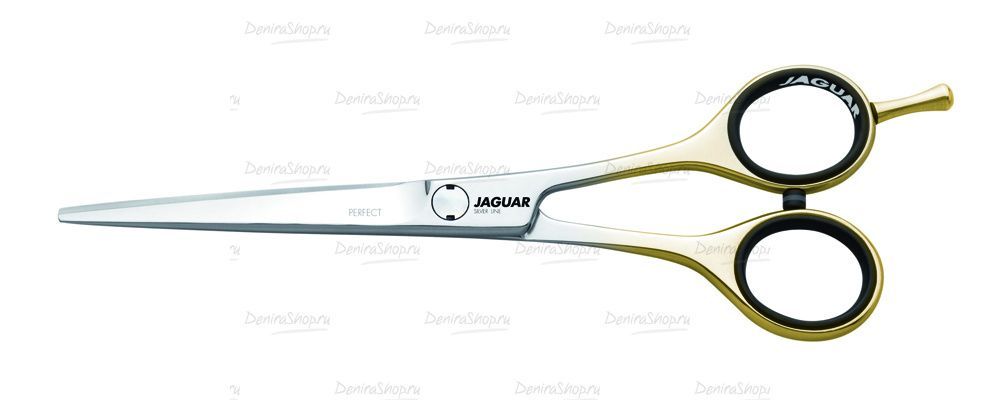   perfect  6.0" jaguar 0160   