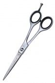      cut profession 6"   
