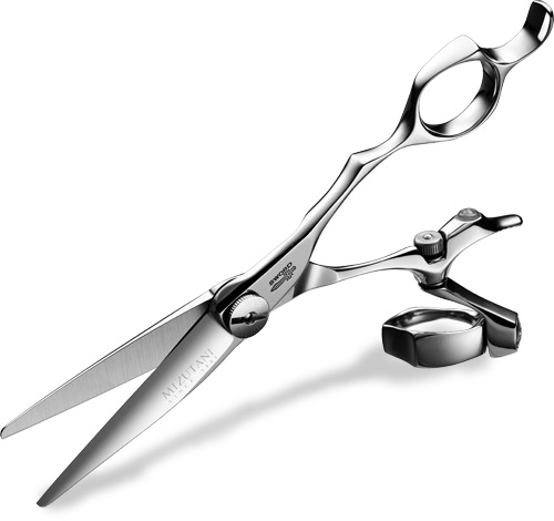 Ножницы для стрижки D-17 DOUBLE SWIVEL 6.2" фото