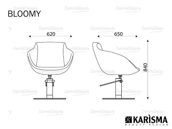 Кресло парикмахерское BLOOMY Karisma