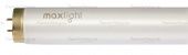    maxlight 235 w-r xl ultra intensive s  maxlight ()   Denirashop.ru