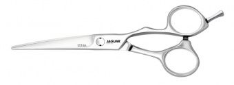 парикмахерские ножницы xena прямые 5.5" jaguar 71055 в магазине Denirashop.ru