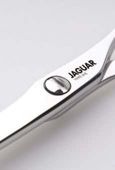   jaguar silver ice  5,5"   Denirashop.ru