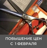 Повышение цен с 1 февраля! фото купить 