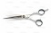 парикмахерские ножницы прямые 2ba lizard 6.0 в магазине Denirashop.ru