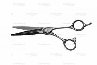 Ножницы парикмахерские прямые Evo Titanium T44860 купить в Москве 