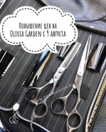 Повышение цен на продукцию Olivia Garden фотография