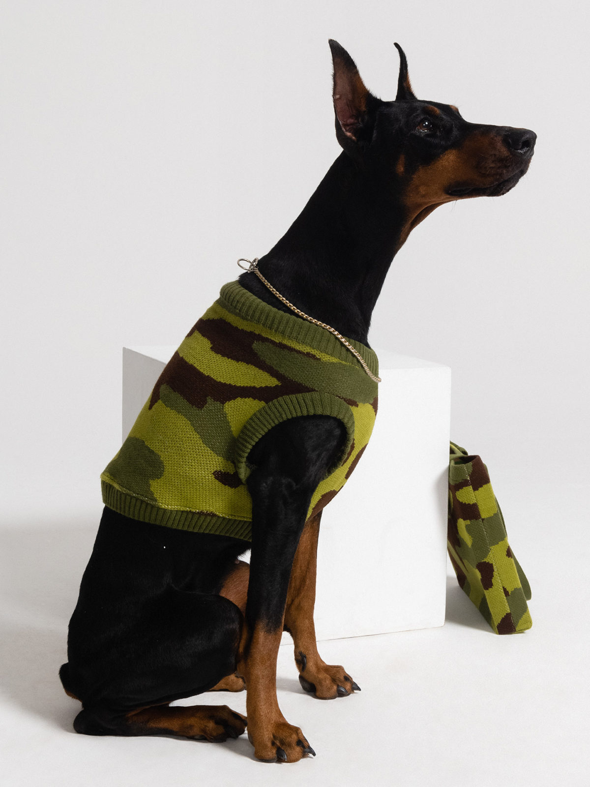 Вязаный джемпер на собаке #СИЛАВПРАВДЕ - Темно-зеленый