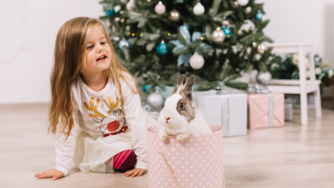 30 идей подарков девочке на 2 годика