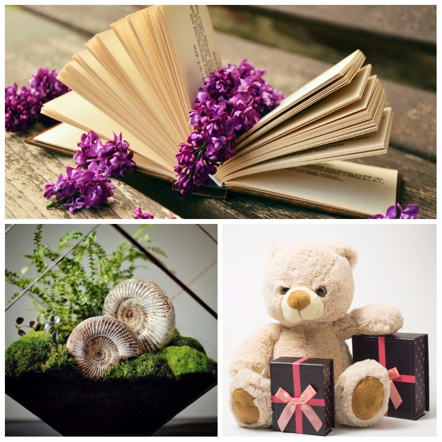 Ваша возлюбленная обязательно оценит оригинал любимого произведения на английском, милого мишку Teddy или флораруим с уникальными растениями.