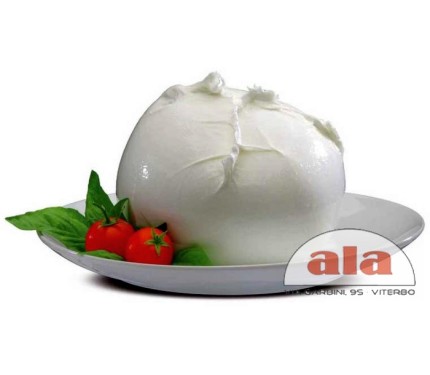 MOZZARELLA DI BUFALA INTERA