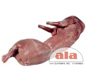 CONIGLIO INTERO CIRCA 1,2 KG