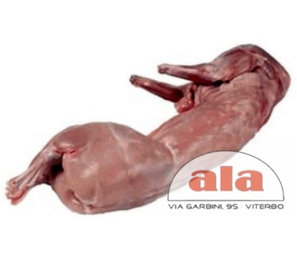 CONIGLIO INTERO CIRCA 1,2 KG