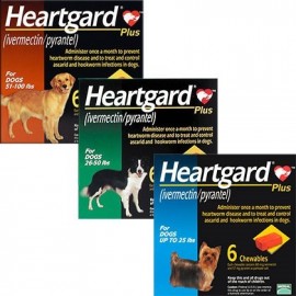 los perros mayores necesitan heartgard