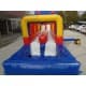 Big Inflatable Water Slide