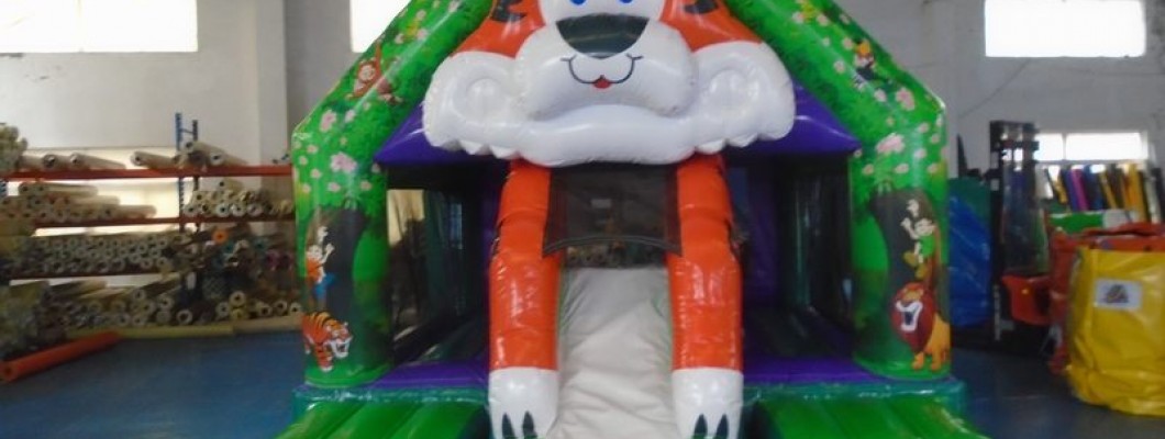 Is a bouncy castle a good investment?
