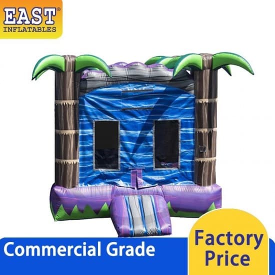 Indoor Bouncy Castle