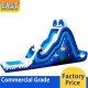 Backyard Inflatable Pool Slide