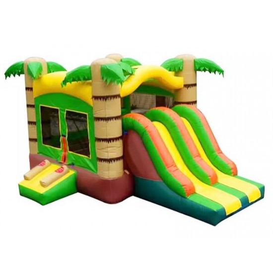 Tropical Palm Tree Dual Lane Slides