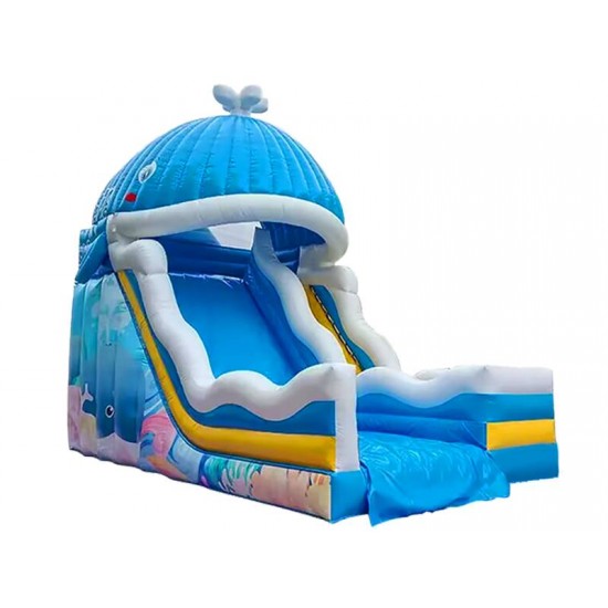 Whale Water Slide For Summer