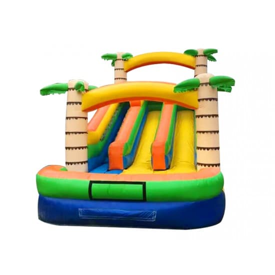 Jungle Dual Lane Water Slide