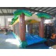 Inflatable Slip N Slide