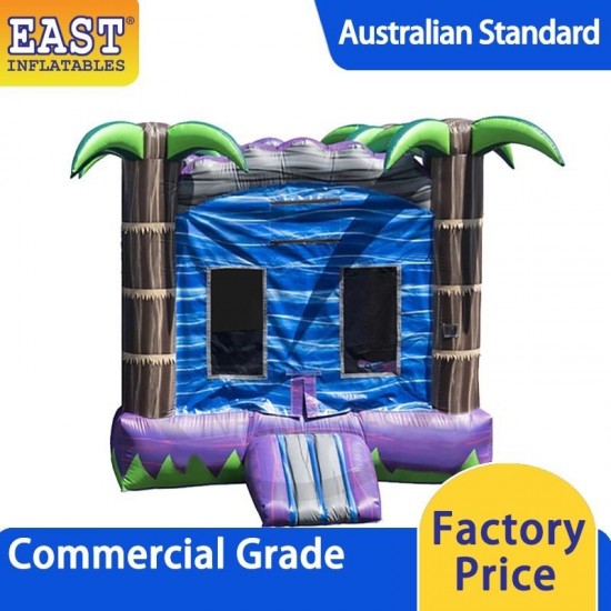 Indoor Bouncy Castle