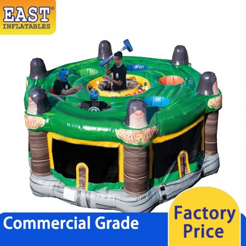 Bouncy Castle East Inflatables NZ