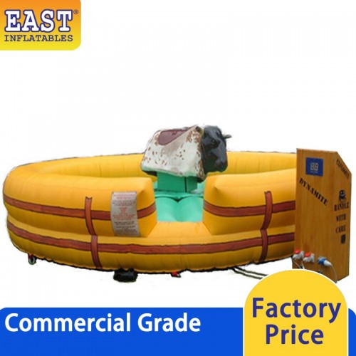 Bouncy Castle East Inflatables NZ