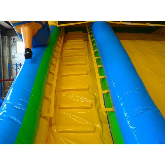 Minion Inflatable Water Slide