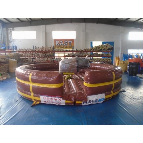 Bouncy Castle East Inflatables NZ