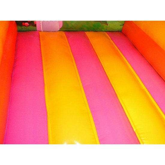 Mini Bounce House