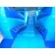 Double Water Slide Inflatable