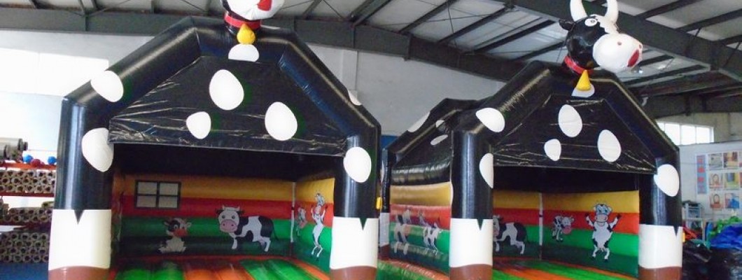 How to Plan a Party with an Inflatable Castle?