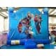 Frozen Bounce House Slide Combo