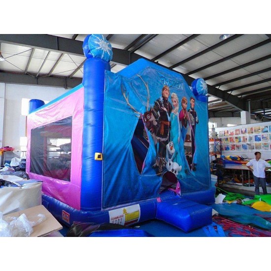 Frozen Bounce House Slide Combo