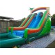 Inflatable Dual Lane Tropical Water Slide