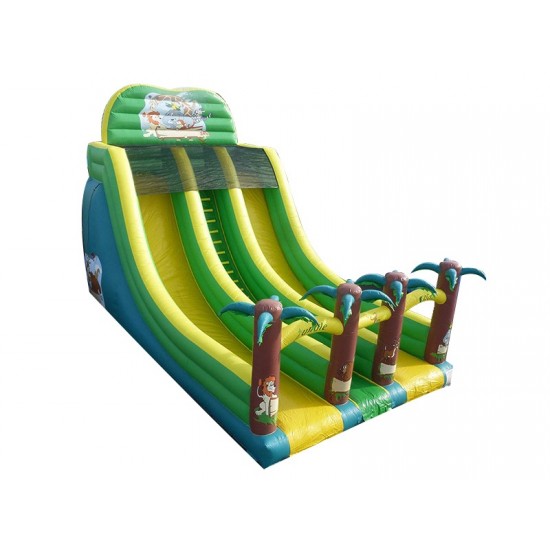 Toboggan Jungle Double Sliders