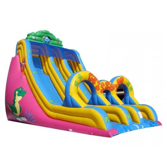 Inflatable Double Lane Slide