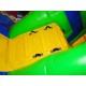 Lion Bouncy Castle Combo