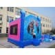 Frozen Moonwalk Jumping Castle