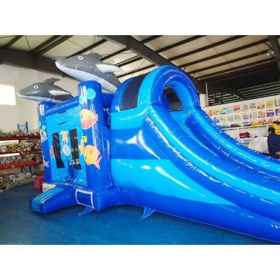 Inflatable Sea World Combo