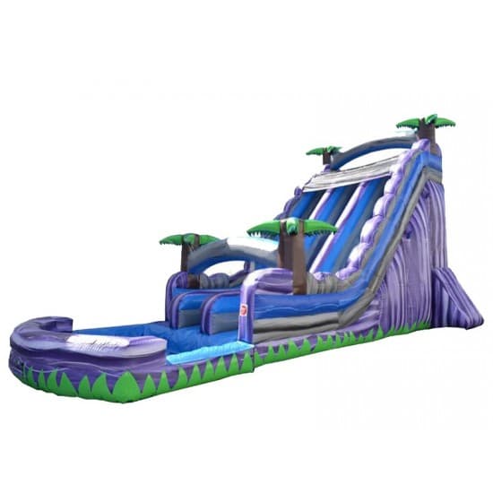 Double Inflatable Water Slide