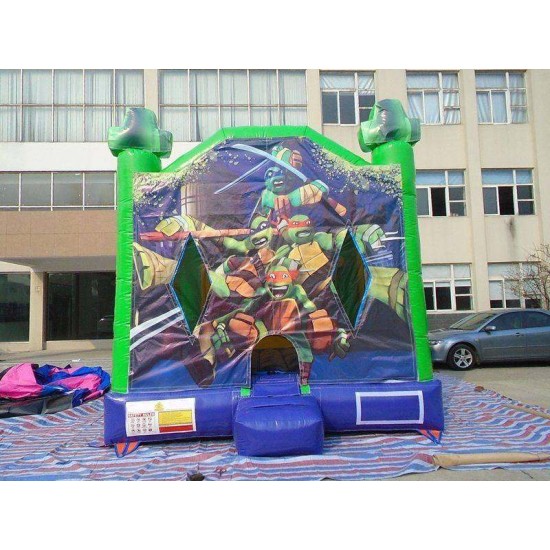 Indoor Bouncy Castle